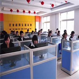 攜手星環(huán)藝彩，共創(chuàng)計算機技術(shù)培訓(xùn)新藍海 解析核心加盟優(yōu)勢